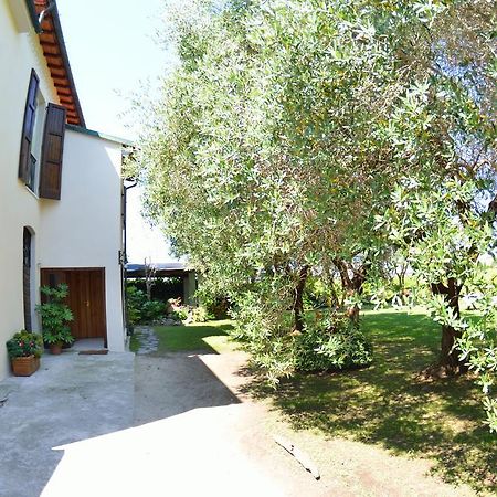 Casa Romana Viareggio Eksteriør bilde