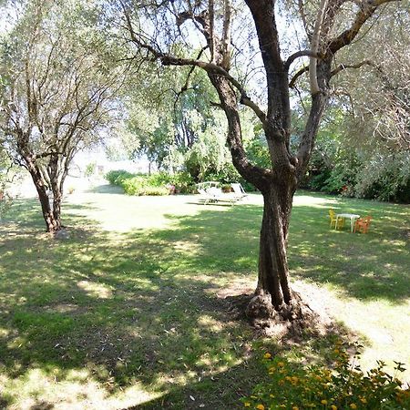 Casa Romana Viareggio Eksteriør bilde