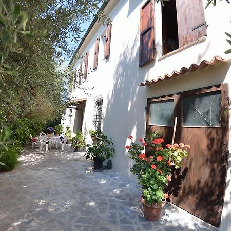 Casa Romana Viareggio Eksteriør bilde