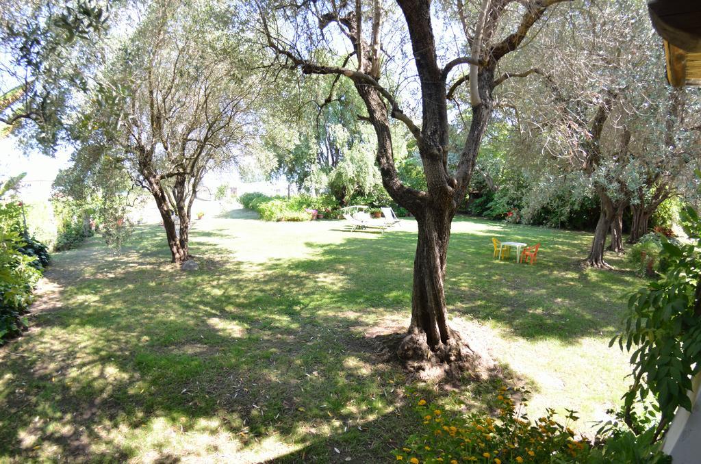 Casa Romana Viareggio Eksteriør bilde