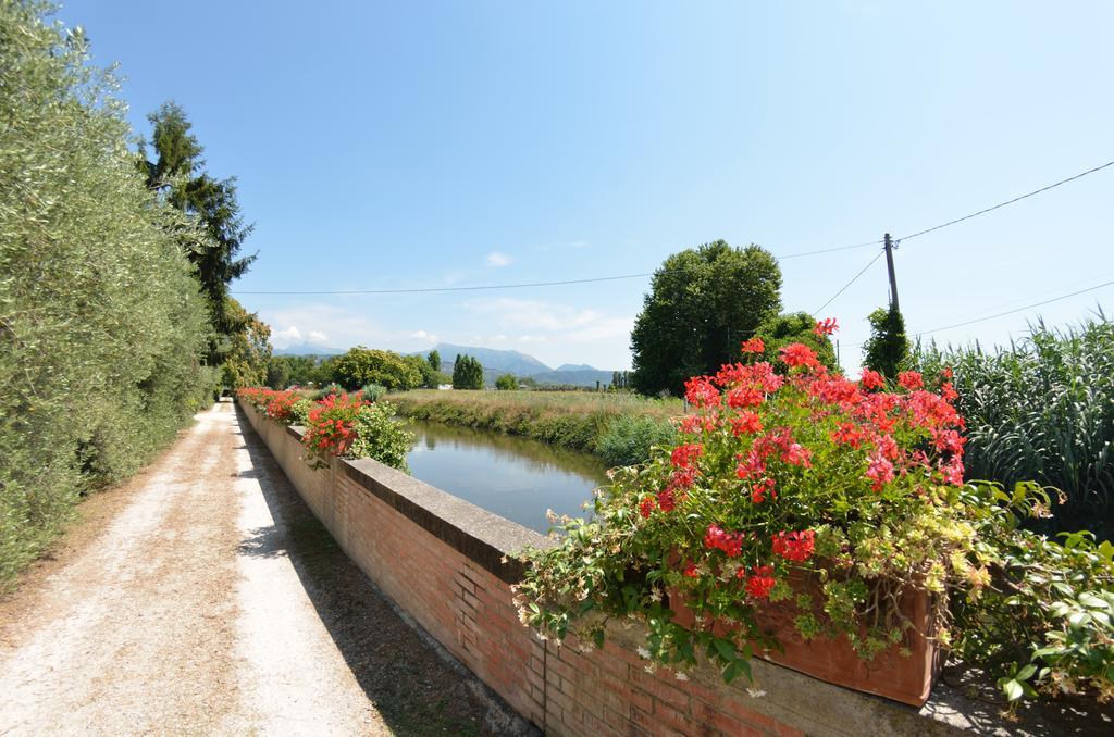 Casa Romana Viareggio Eksteriør bilde