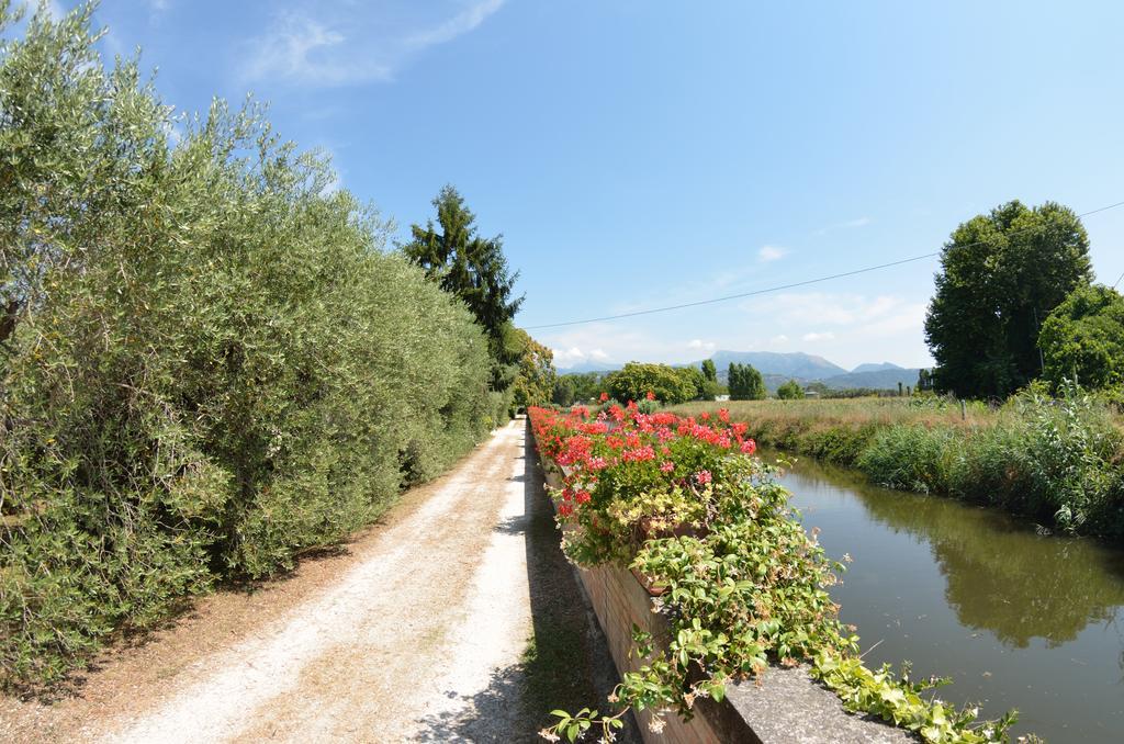 Casa Romana Viareggio Eksteriør bilde