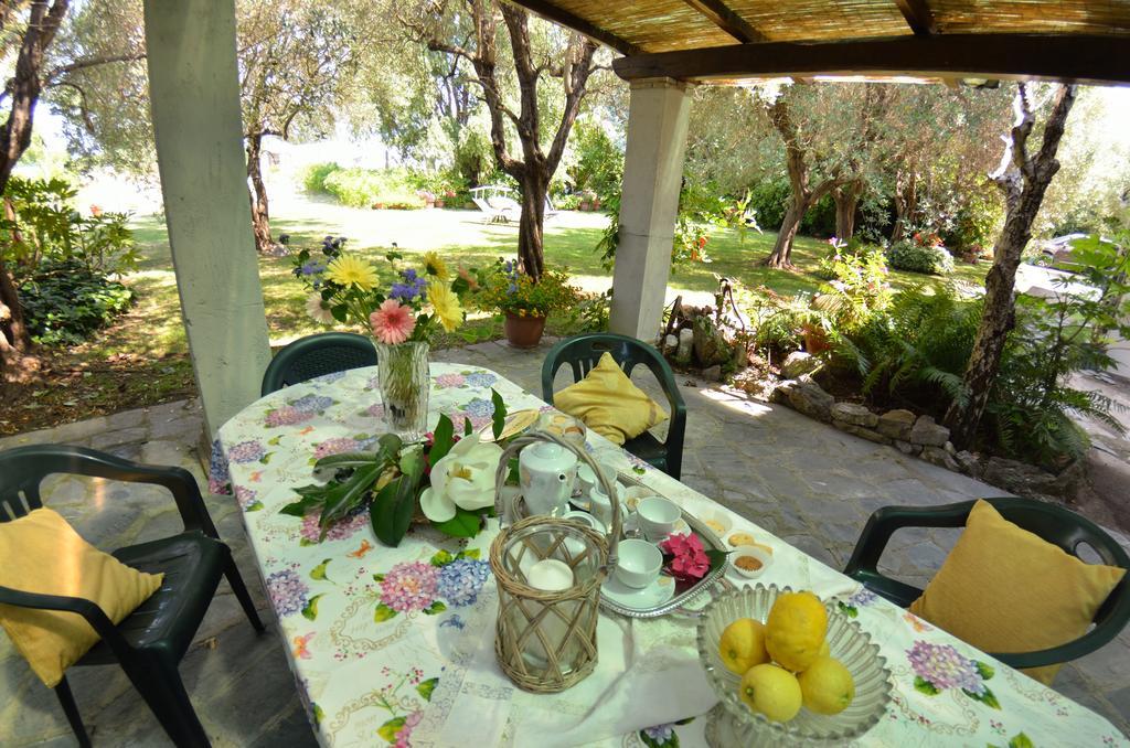 Casa Romana Viareggio Eksteriør bilde