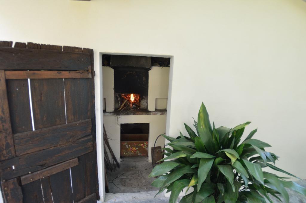 Casa Romana Viareggio Eksteriør bilde